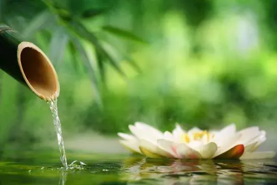 Massage Impérial Japonais