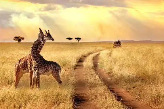 Massage Africain